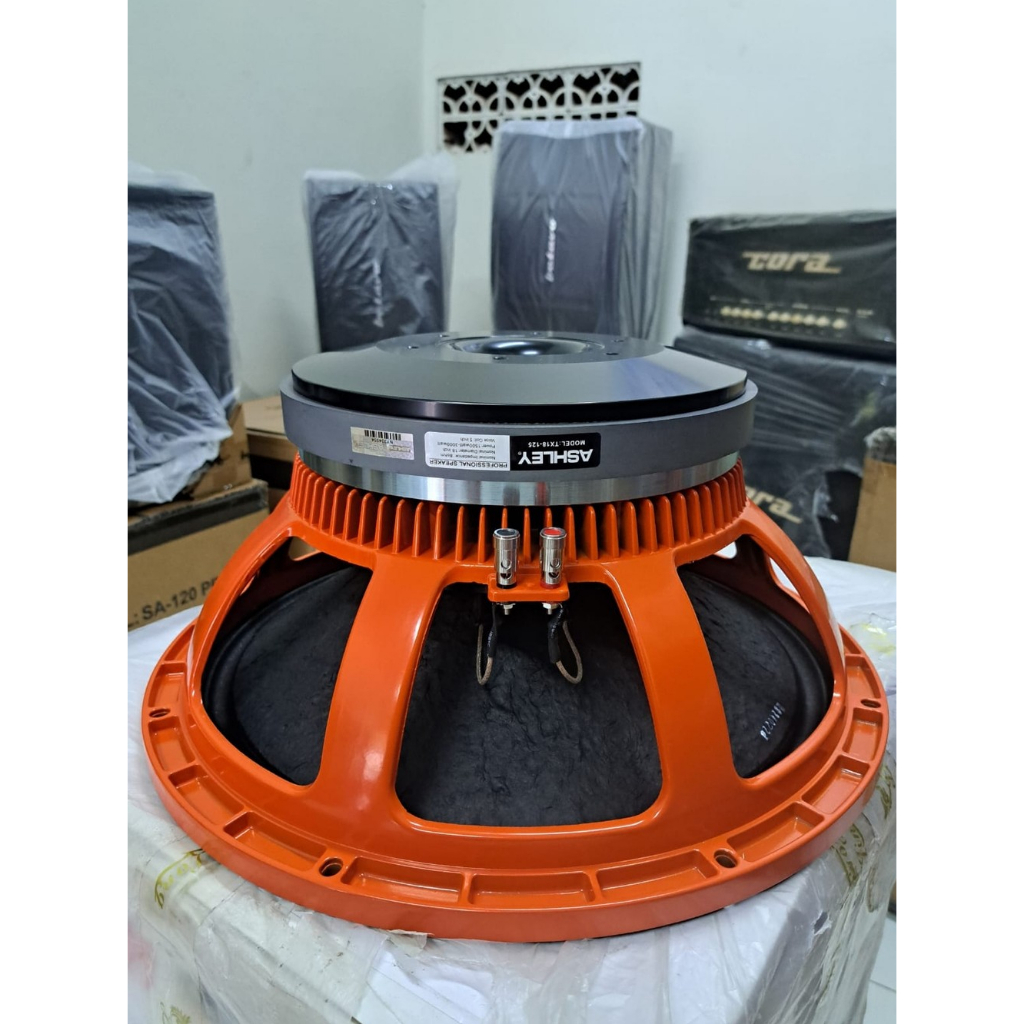 SPEAKER ASHLEY 18'' TX18-125