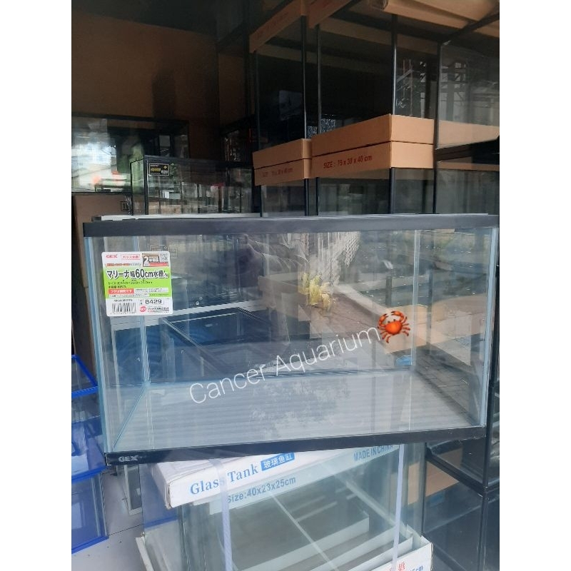 Aquarium GEX Ukuran 60x30x36cm