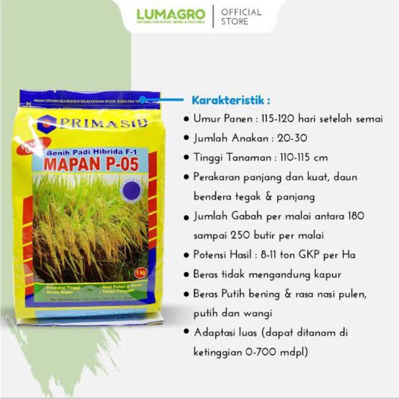 benih padi mapan 05 original