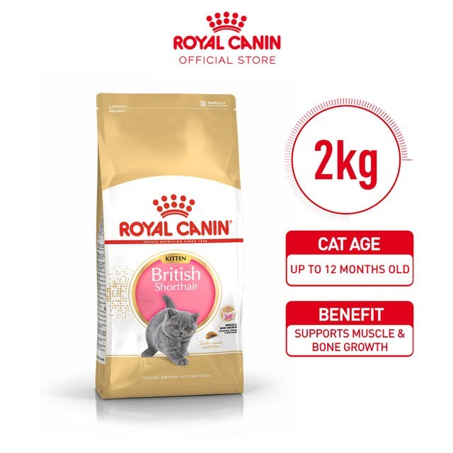 Royal Canin Kitten British Shorthair 2kg Royal Canin British Kitten Makanan Kucing Kitten