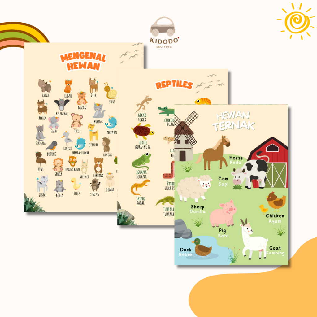 Poster Hewan Edukasi Anak - Binatang Laut