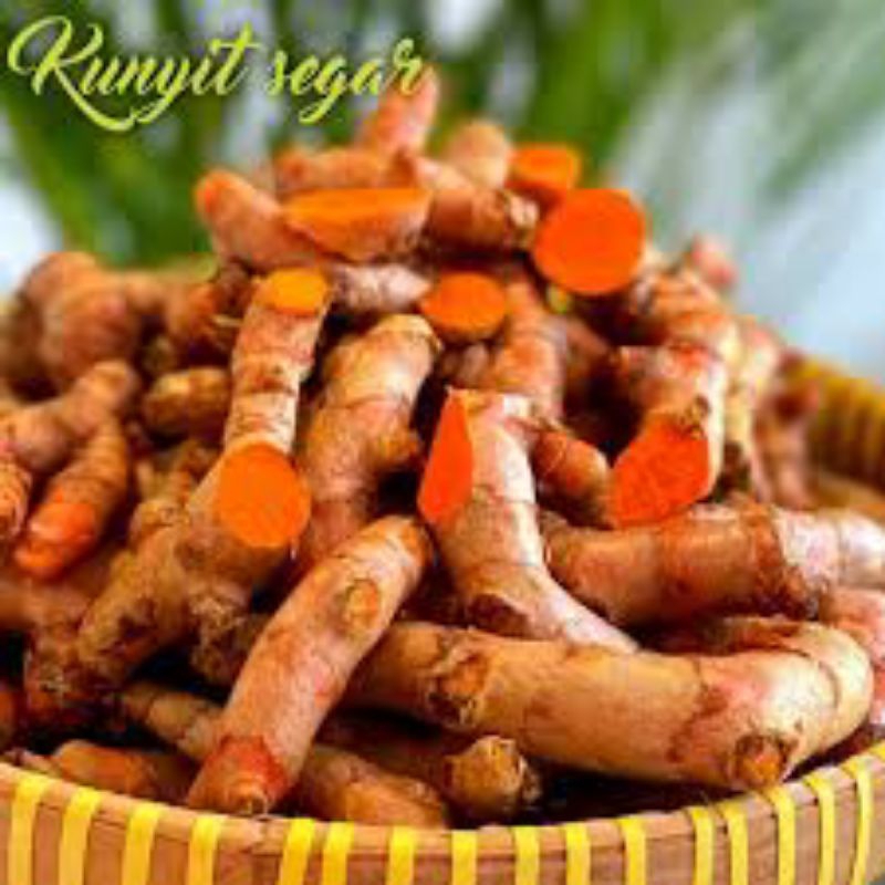 

KUNYIT SEGAR 500GRAM LANGSUNG DIAMBIL DARI KEBUN