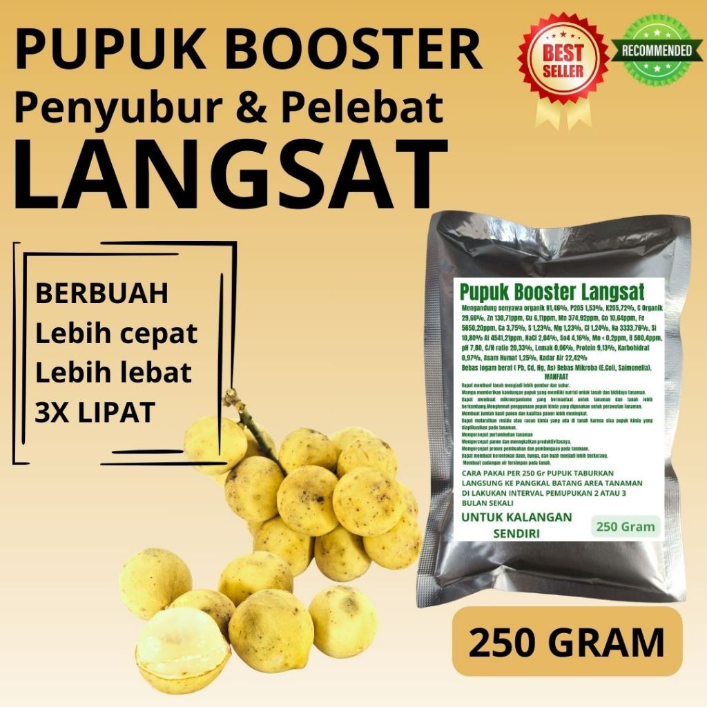Pupuk Padat Booster Pelebat Buah Langsat Penyubur Perangsang Buah Langsat
