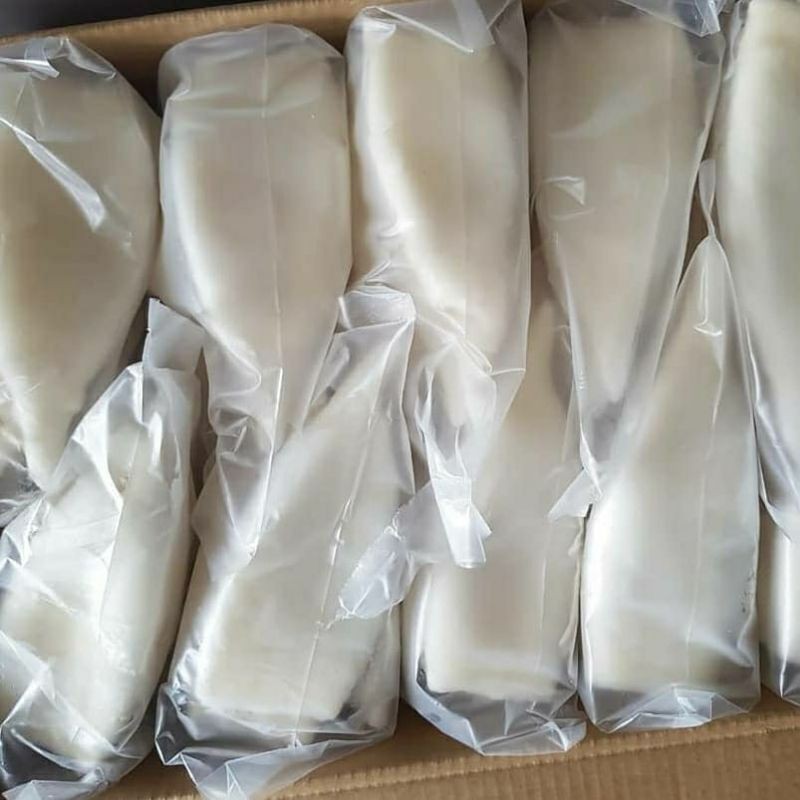 

Cumi Tube Kupas Bersih Segar Beku 1 kg Frozen Seafood