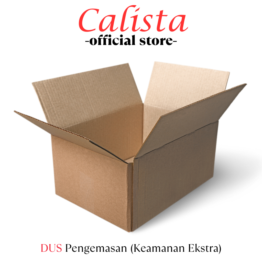 

DUS PENGEMASAN (KEAMANAN EKSTRA)