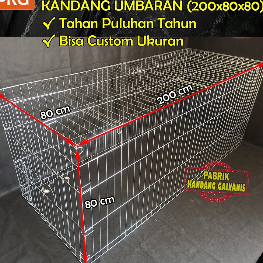 TERUPDATE Kandang Umbaran Galvanis Besar 2Cm Untuk Ayam Jago Bangkok Kurungan Umbaran Jumbo 2 Meter 