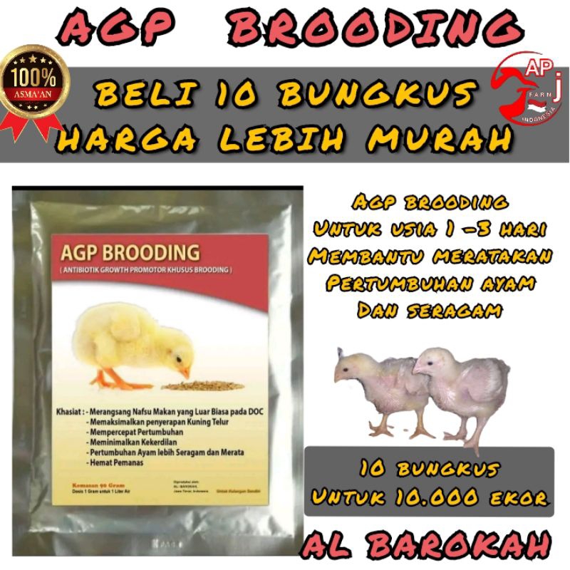 Agp brooding,10 bungkus,nutrisi ayam,suplement brooding