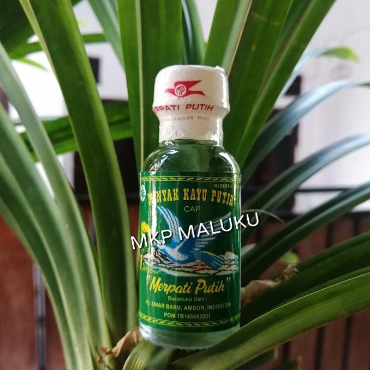

PRAKTIS Minyak Kayu Putih Merpati Putih Asli Ambon 22 ml