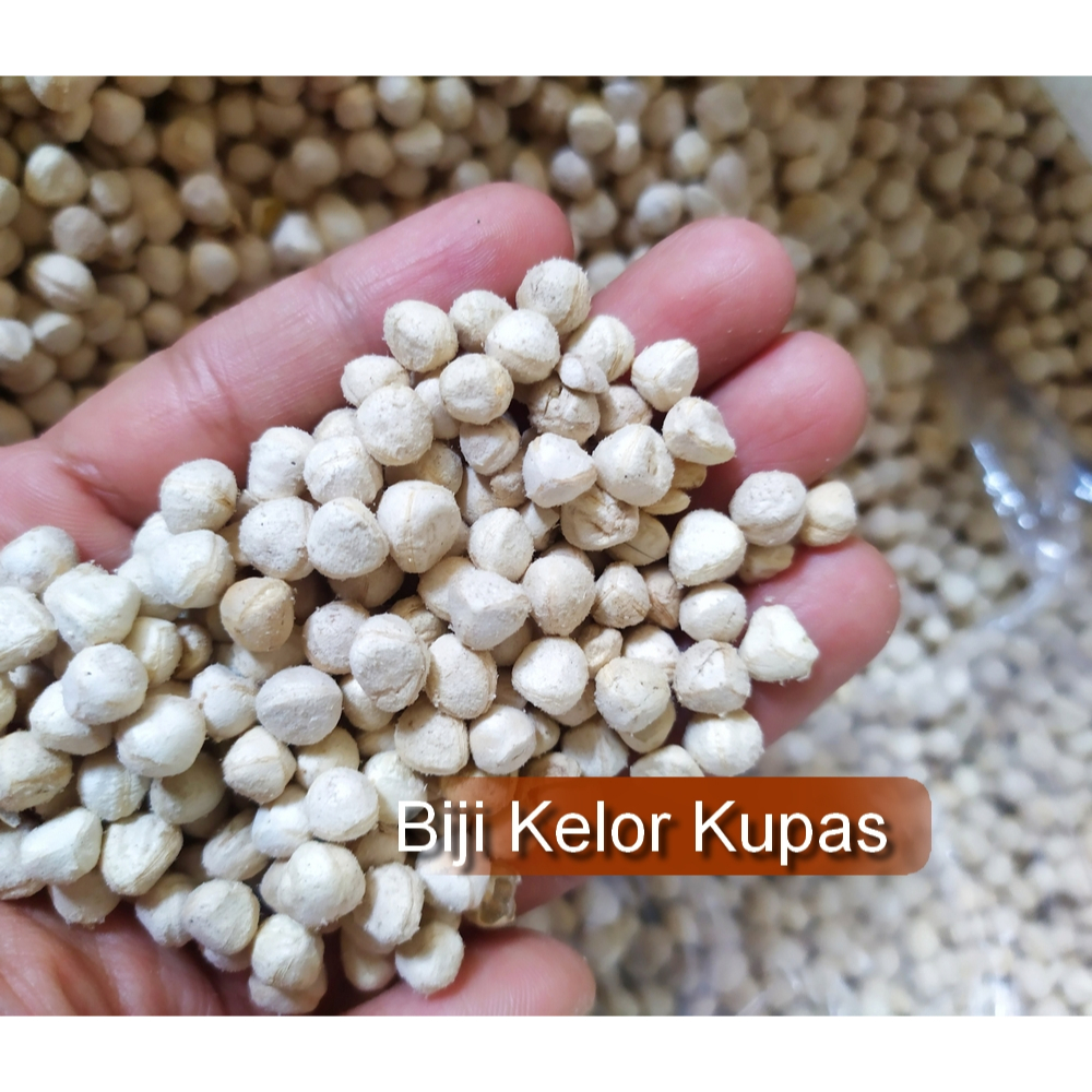 

Biji Kelor Kupas 100gr