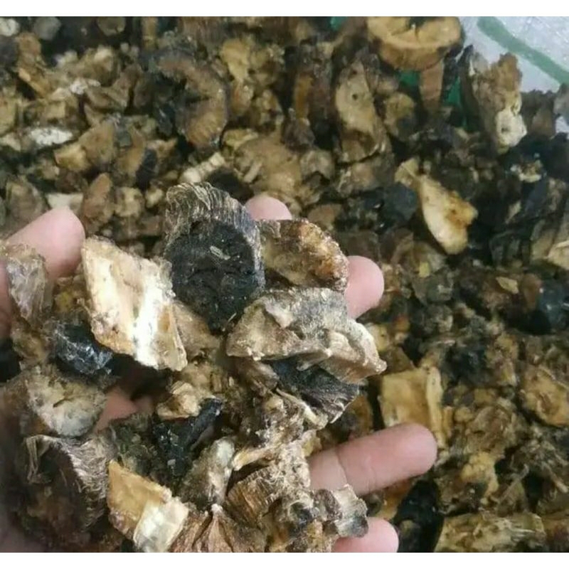 

gatot singkong 500 g