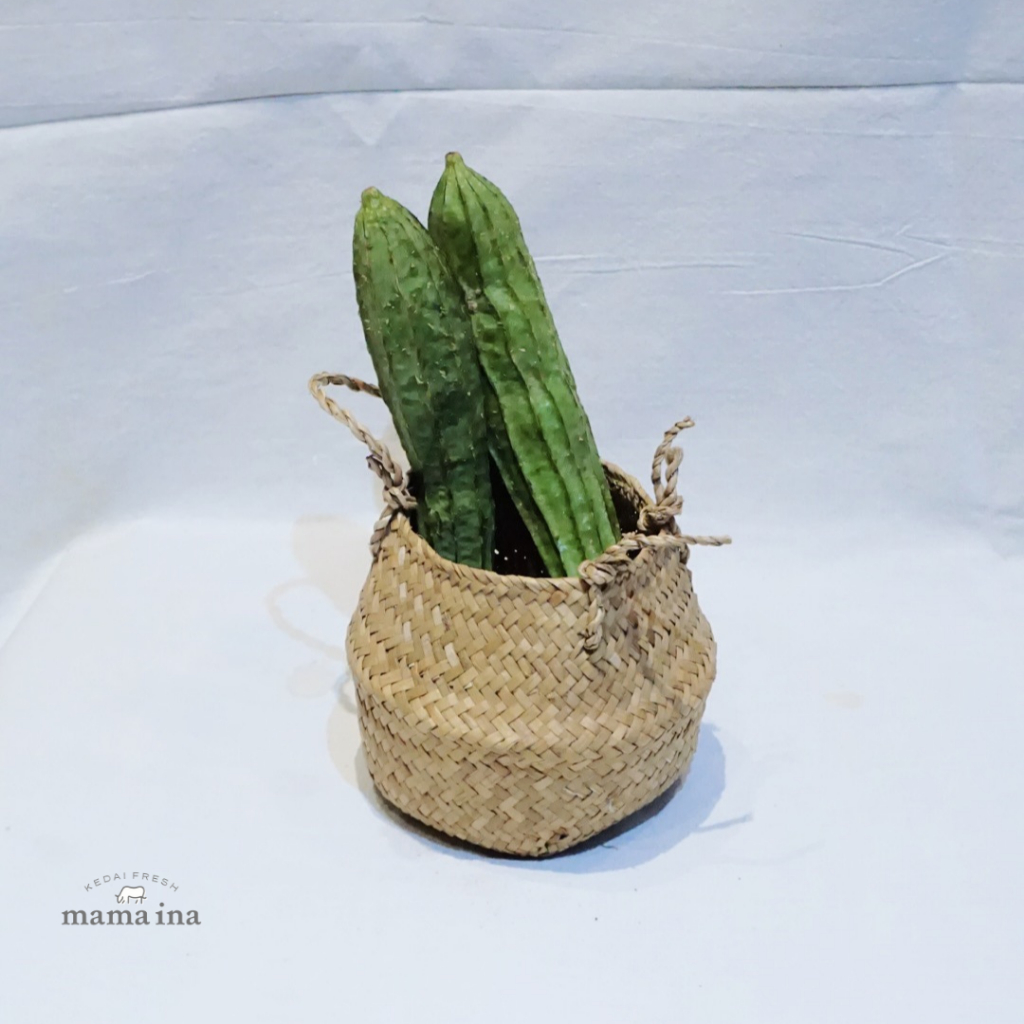 

Lopang 500g