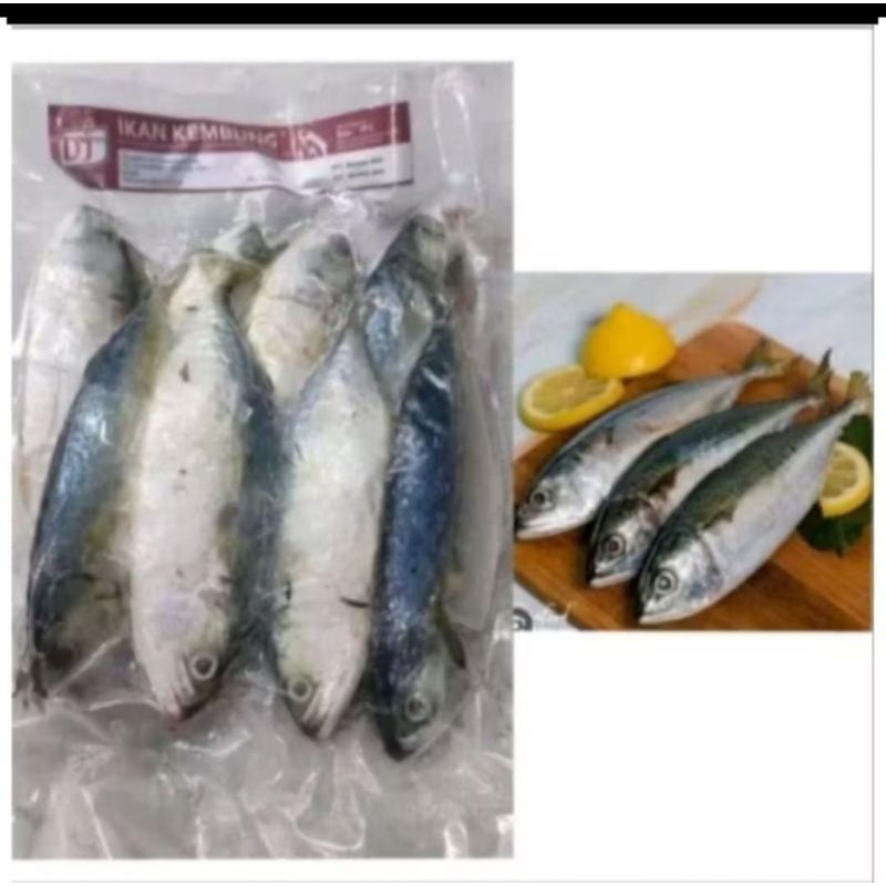 

Ikan Kembung Frozen ±1kg
