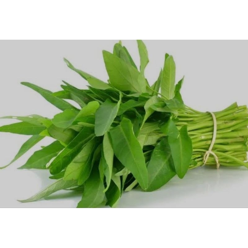 

Kangkung Segar
