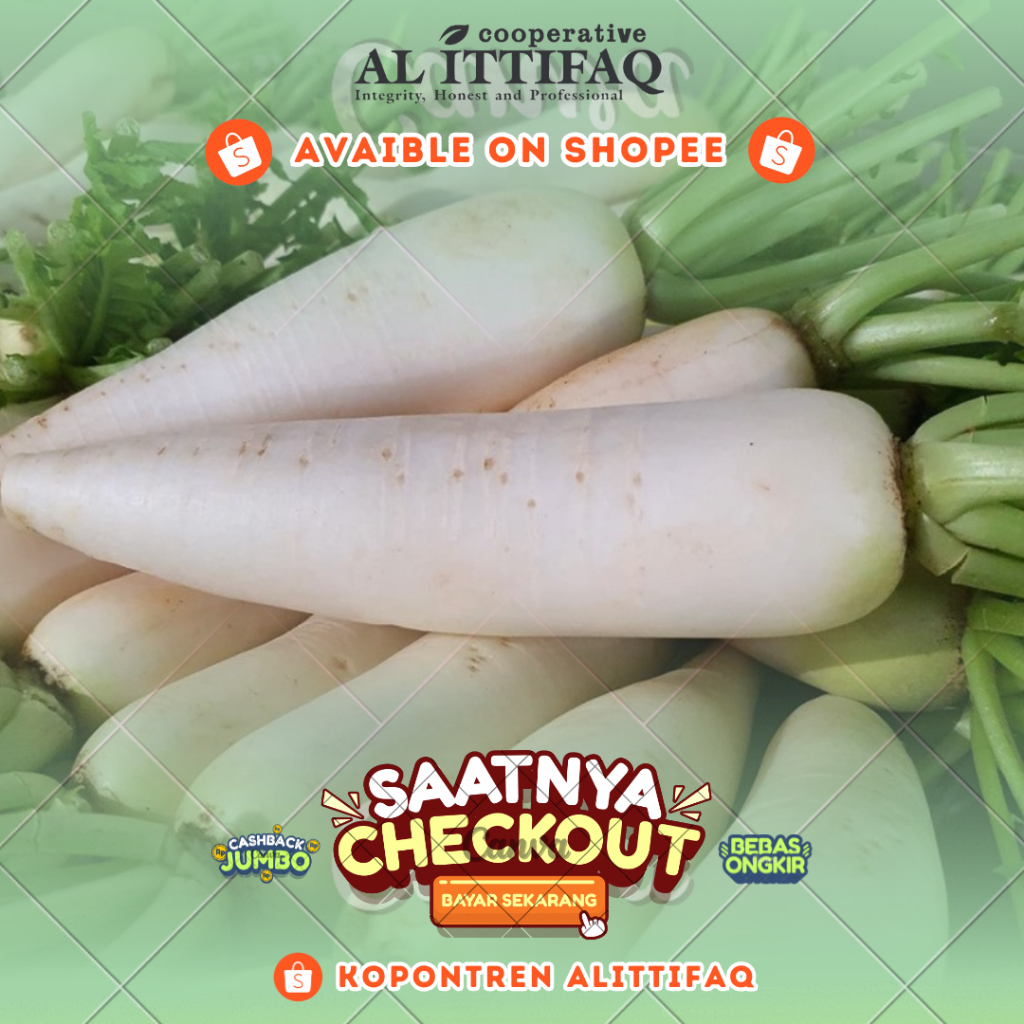

Lobak Sayuran Bahan Makanan Segar 1Kg/500g Termurah Berkualitas Terbaik Kopontren Al Ittifaq Bandung