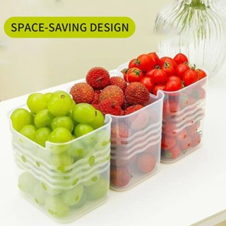 Kotak Penyimpanan Sayur Buah Bumbu Plastik Pintu Kulkas - Rak Untuk Pintu Kulkas
