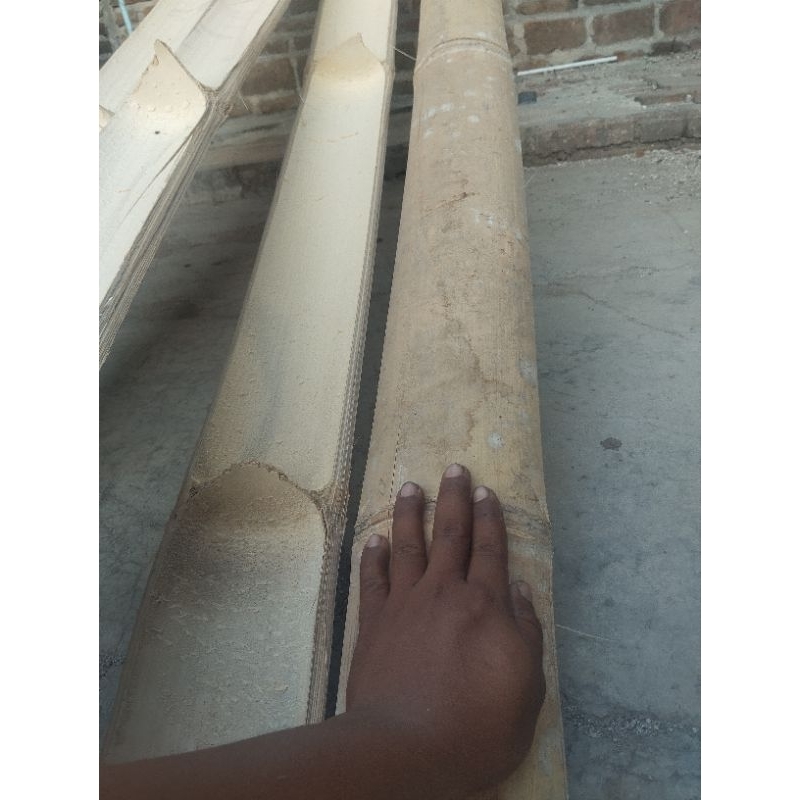 bambu petung super bahan layangan 120 cm dan  60cm