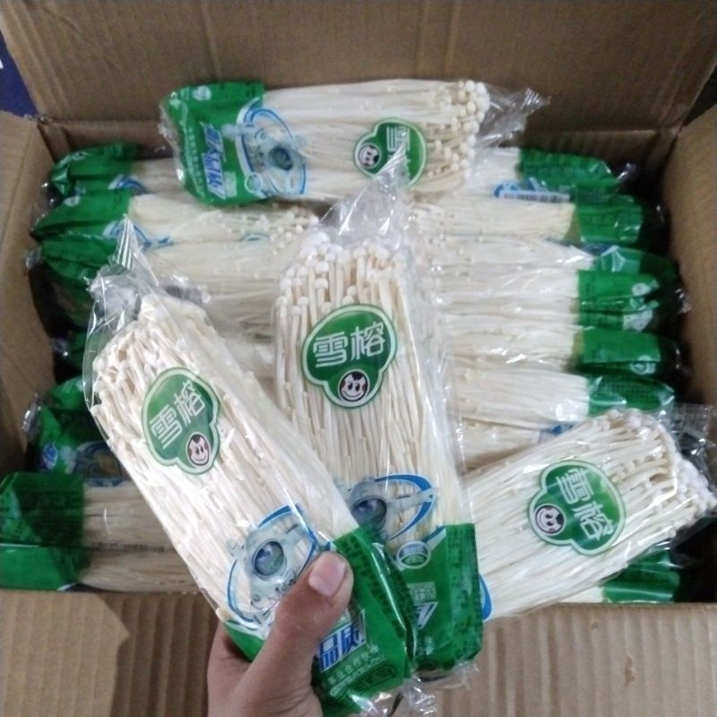 

Jamur Enoki Dapat 3