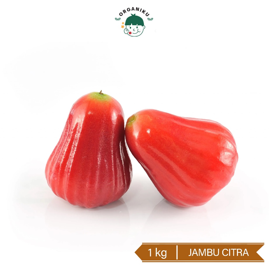 

Buah Jambu Citra 1KG