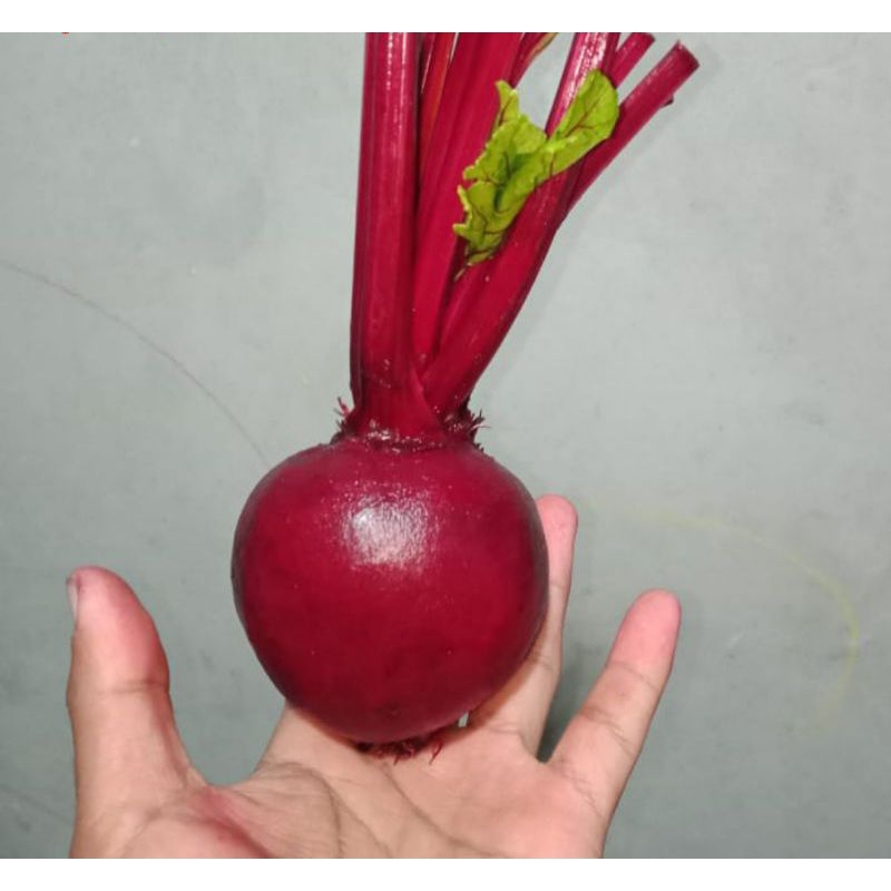 

BIT / BEET ROT 1KG dijamin Fresh