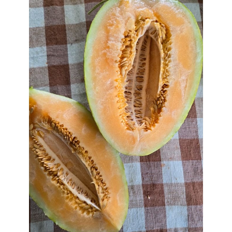 

Melon Ibana jepang ±2kg
