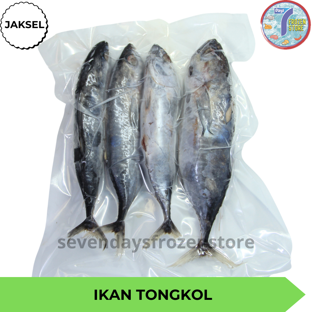 

RB Ikan Tongkol Beku Kapal Frozen
