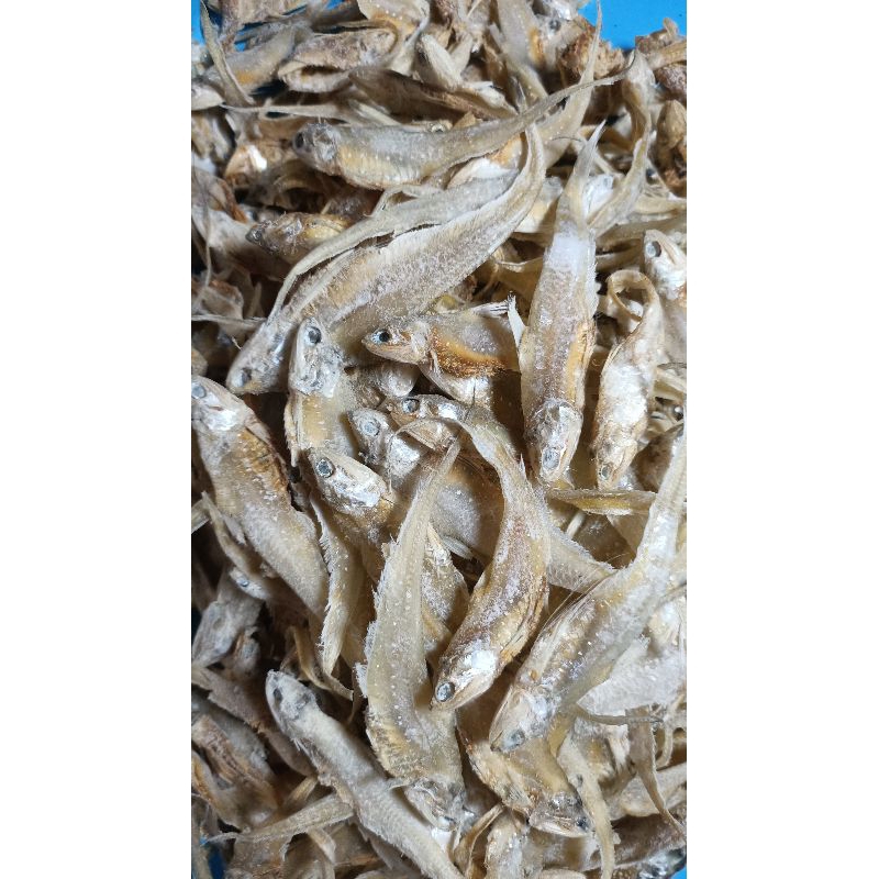 

Ikan Asin Bulu Ayam Asin 100gram-500gram