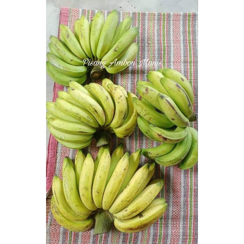 

Pisang Ambon 1 kg