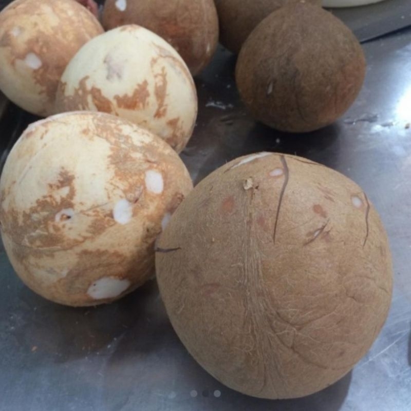 

klapa utuh+parut ukuran abc