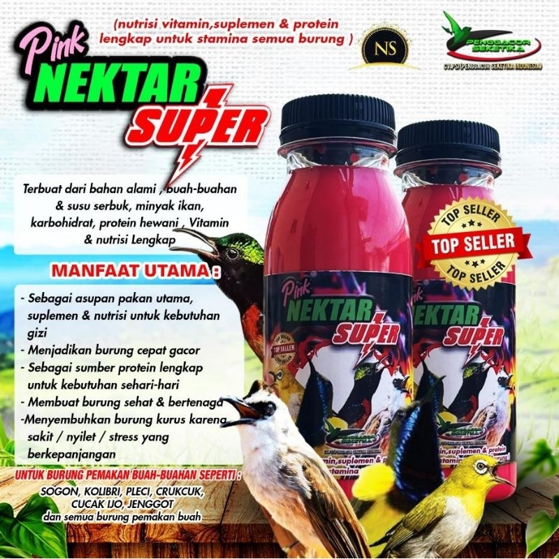 PINK NEKTAR SUPER PENGGACOR SOGON KOLIBRI PLECI NEKTAR PENGGACOR SEKETIKA