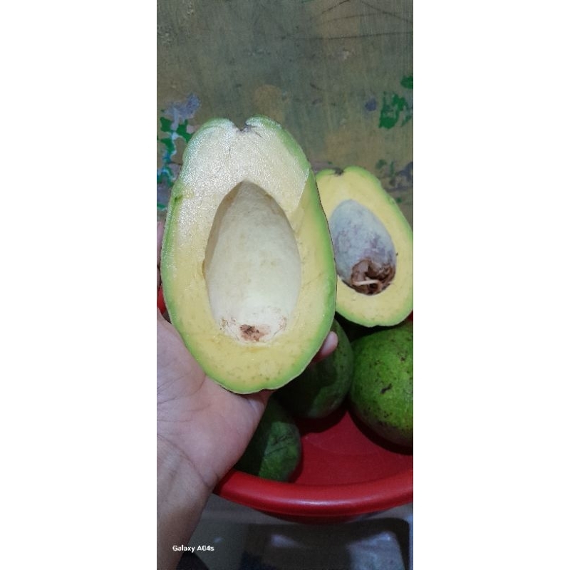 

RB Alpukat Mentega Boyolali Segar Tanpa Serat