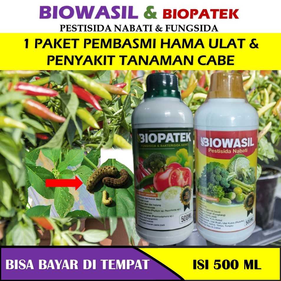 (PROMO COD) 1 paket biowasil & biopatek 500 ml Obat Hama Wereng Cabe Paling Ampuh Sudah terbukti mam