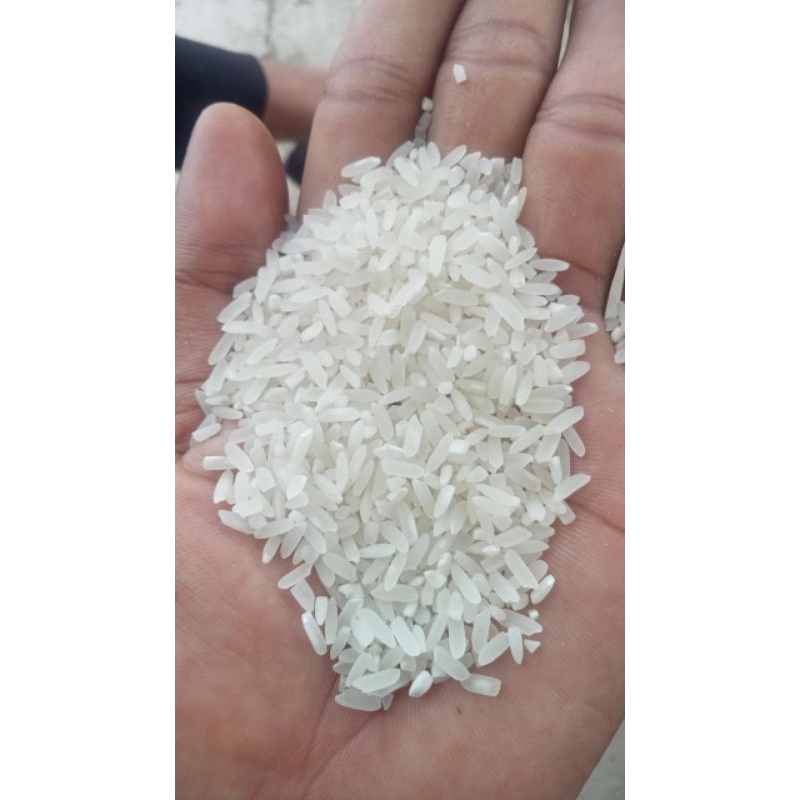 

BERASCIANJUURMAKMUR