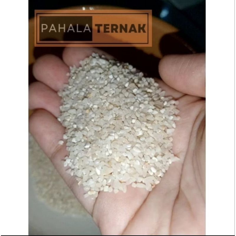 

Beras Menir/ Menir Gula 1 kg