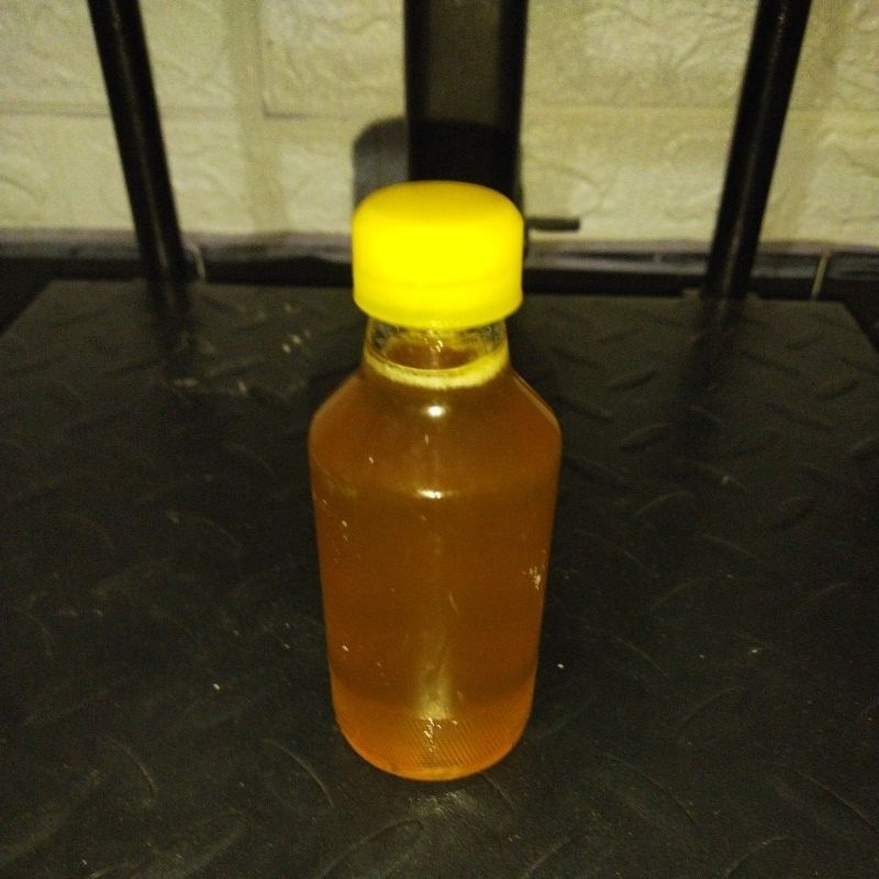 

madu asli tawon gung