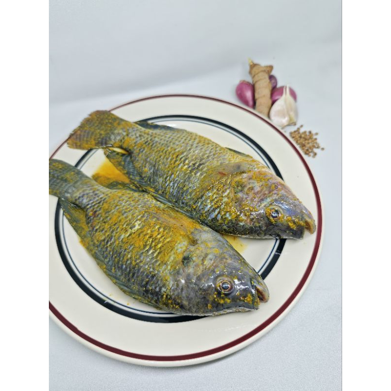 

Ikan Nila Frozen Siap Goreng
