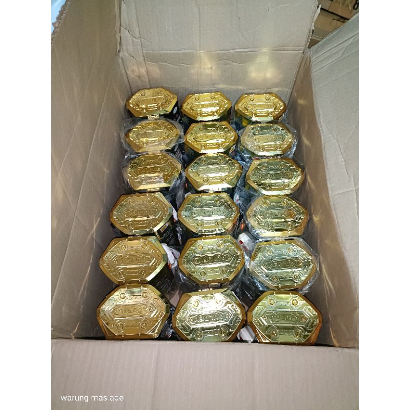 RC RACE-TIN FLASH & DASH GENERASI 2 GOLD CASE ORIGINAL AULDEY