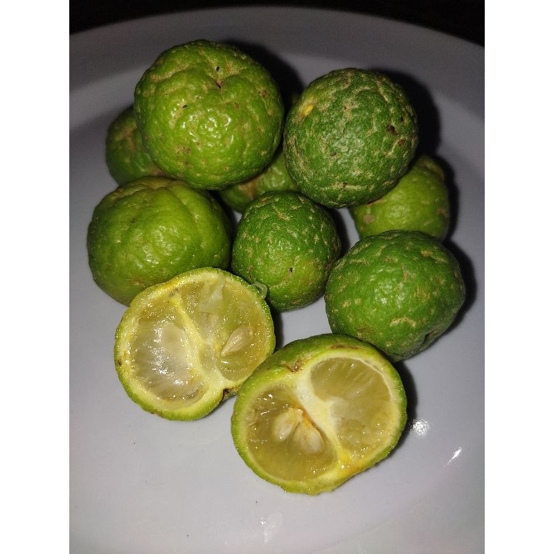 

Jeruk Limau/Jeruk Limo/Jeruk Sambal FRESH dari pohon