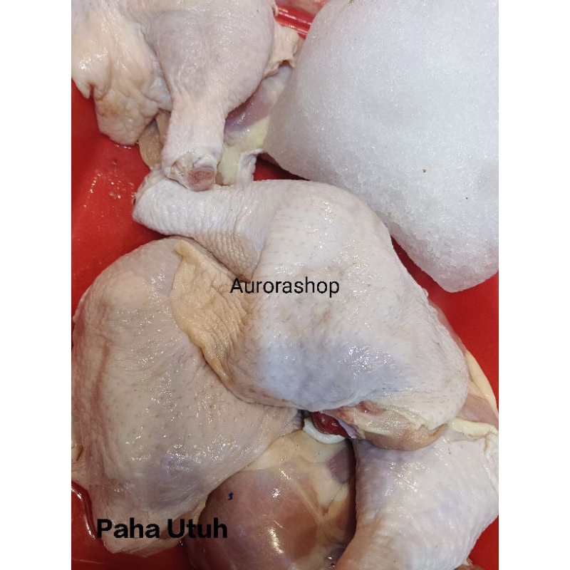 

Paha Utuh Ayam Fresh