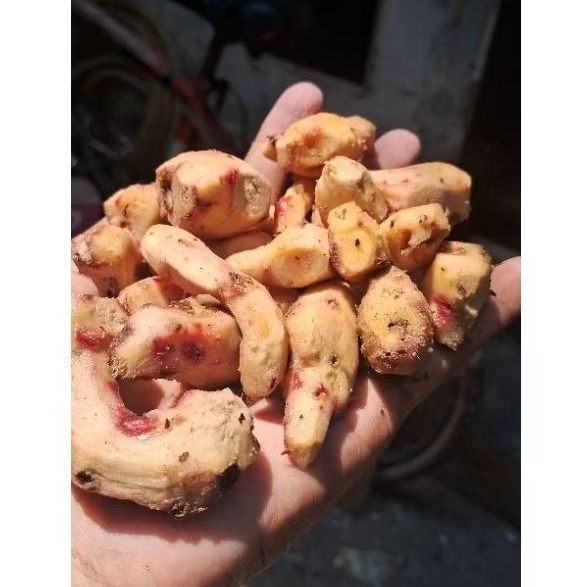 

jahe merah segar / jahe merah kupas bersih