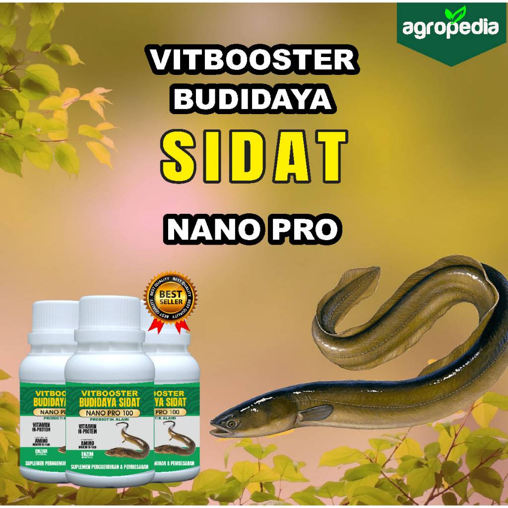Suplemen Sidat / Nutrisi Penggemuk Sidat / Booster Pertumbuhan Sidat 100ml