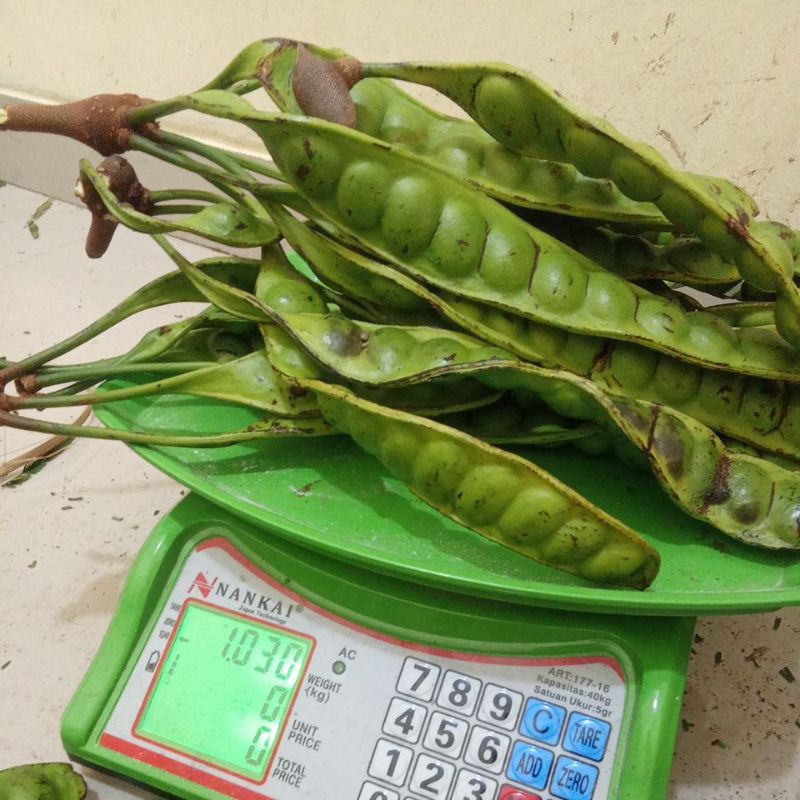 

pete sortiran apa adanya.10papan