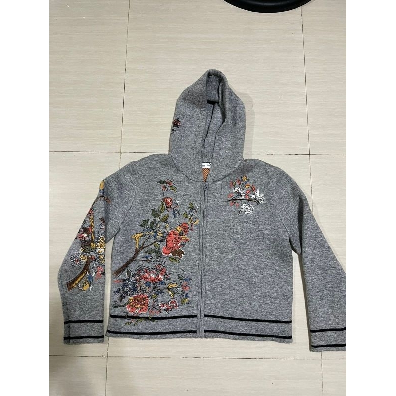 Christian Dior hoodie