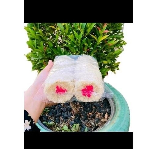 

RENGGINANG CERIPING KETAN PUTIH ASLI WONOGIRI 500 GRAM