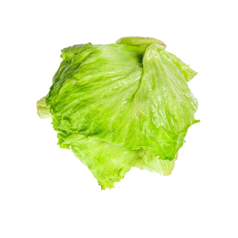 

Lettuce Head Sayuran Fresh ( Bliggonarket)