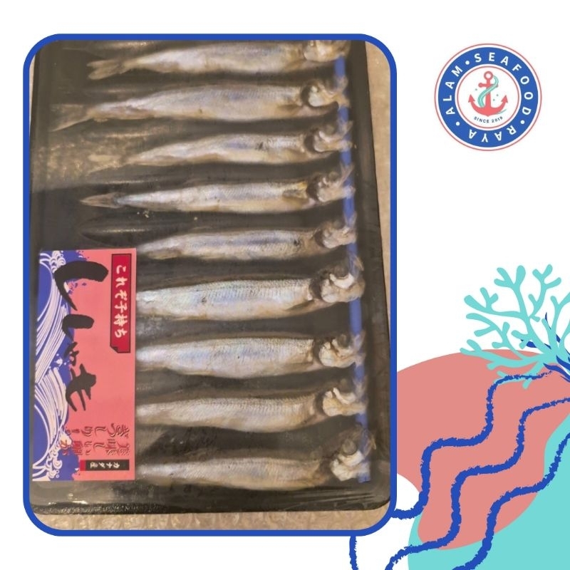 Ikan Shisamo Capelin Shisamo Fish Ikan Telur