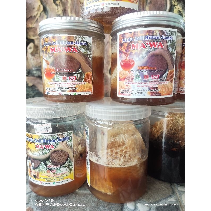 

Madu Asli Hutan Jambi Apis Dorsata dengan Sarang 500gram