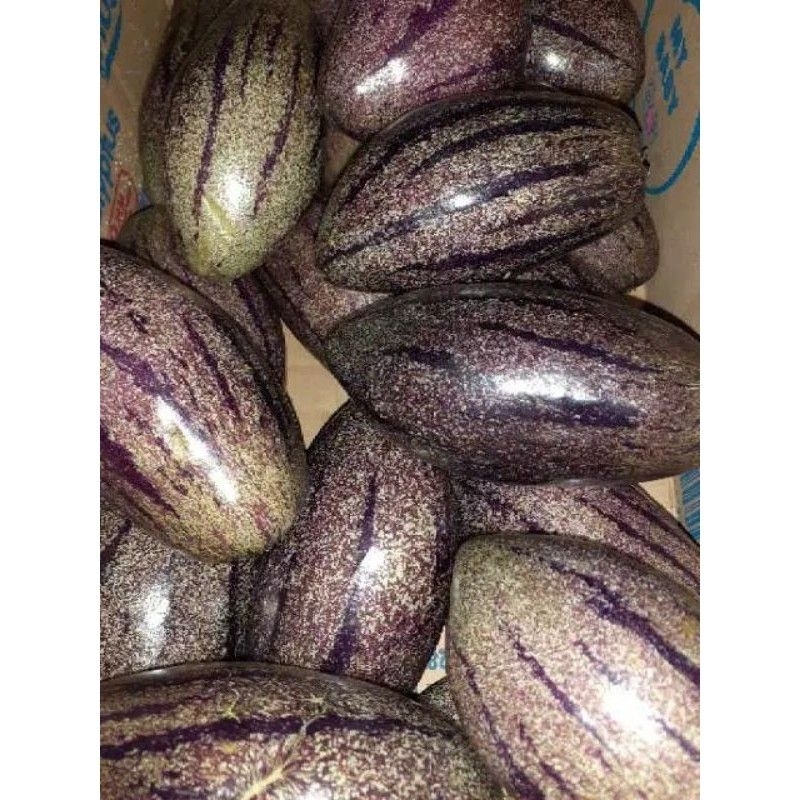 

buah Pepino 1kg/buah merendahkan darah