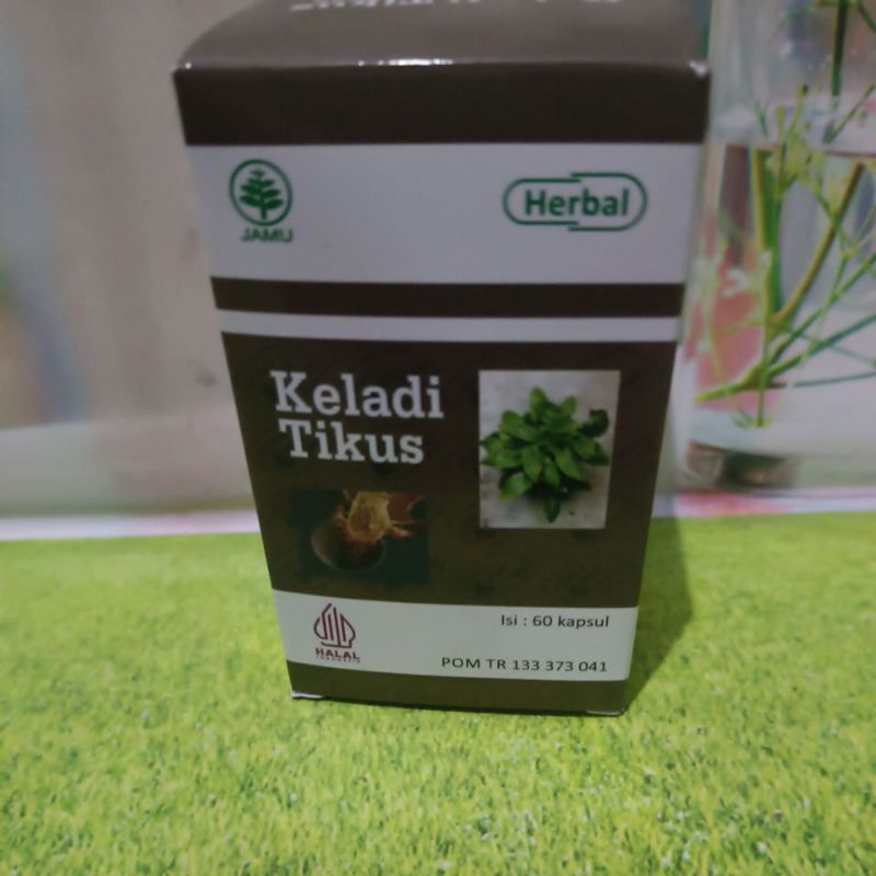 Keladi Tikus kapsul