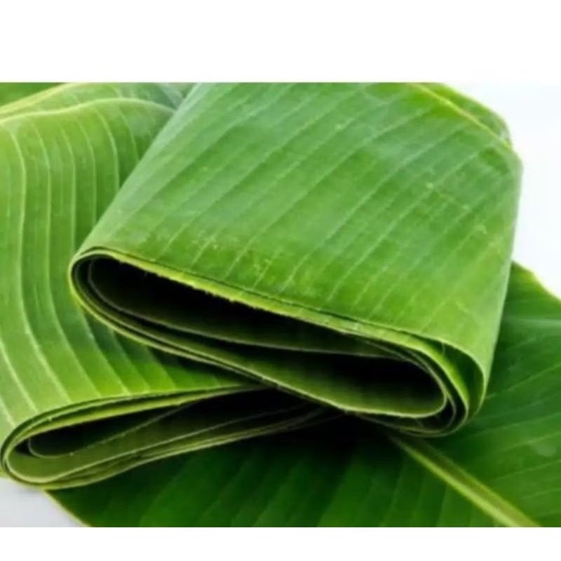 

Daun pisang Tua 1 iket 5 lembar