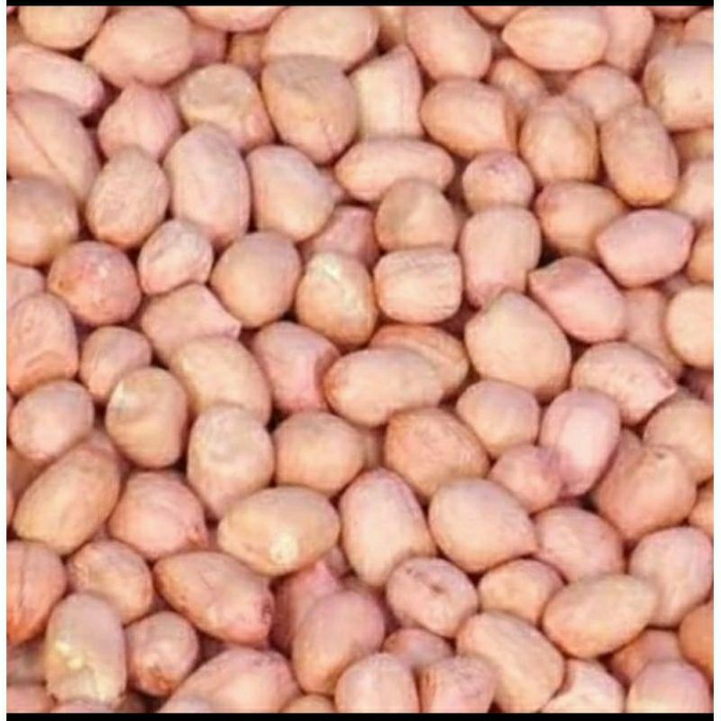 

kacang tanah mentah 1kg